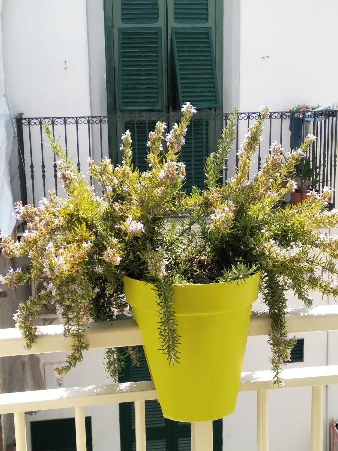 לינה וארוחת בוקר פולינאנו א מארה Dimora Dioniso מראה חיצוני תמונה